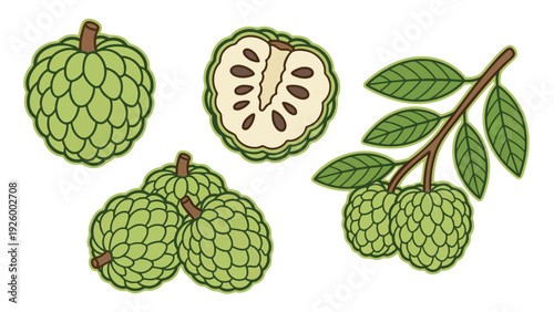 Sugar Apple Fruit Icons With Slice And Branch