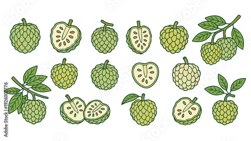 Sugar Apple Fruit Icon Set With Whole And Slice