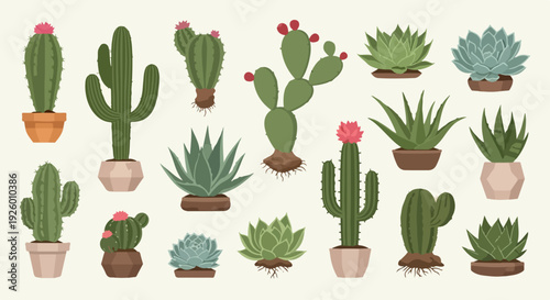 Variety of potted cacti and succulents with flowers on a plain background illustration of desert plants in pots for decoration and interior design