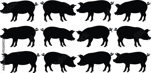 Collection of Black Pig Silhouettes Isolated on White Background, Farm Livestock Animal Icons Set for Agriculture, Pork Industry, Rural Farming Design Vector Illustration Pack