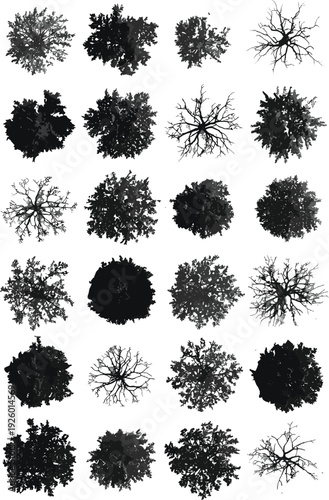Top view tree silhouette collection with various forest canopy shapes isolated on white background, detailed black botanical elements for landscape and architectural design