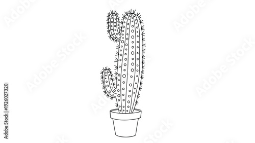 Tall spiky cactus in a simple clay pot is depicted in a highly detailed black and white line art drawing style.