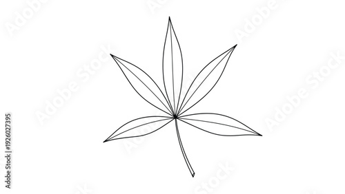 Elegant black and white line art of a single five-lobed leaf shows symmetrical veins and a delicate central stem.