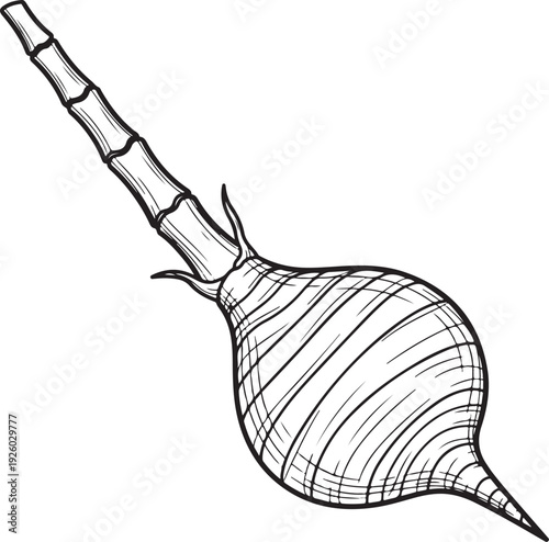 A monochrome line art drawing of a taro root, emphasizing its unique shape and texture, ideal for minimalist food and botanical illustrations