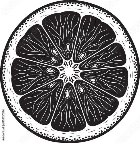 Detailed citrus slice illustration showing pulp segments and seeds in circular symmetry for organic fruit juice branding and healthy food packaging design backgrounds