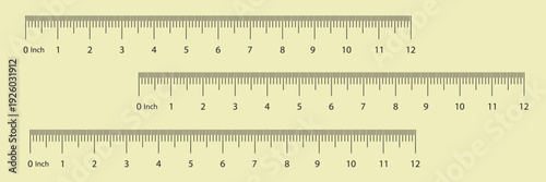 Measuring tape scale set. Vector measurable yardstick measures length height meter precision tools centimeter millimeters calibration. Measurements scales design template. Cm to Inch Measuring scale.