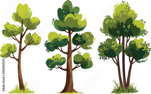 Set of Three Different Green Tree Illustrations Isolated on White Background for Nature Landscape Design Forestry Environment Conservation and Childrens Book Art Project