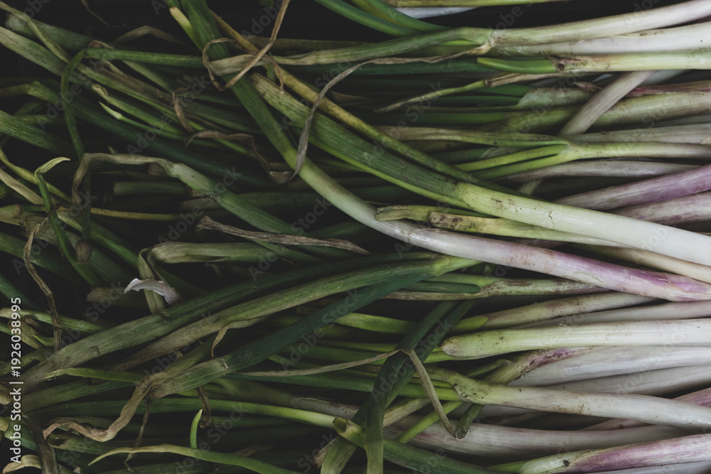 Fototapeta premium Green onion isolated on the wooden background