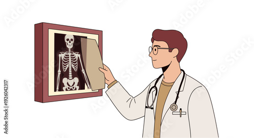 Doctor examining Xray image on wall.