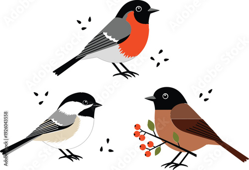 Cute woodland birds vector illustration set with bullfinch and songbirds, colorful forest wildlife characters isolated on white for nature, winter and decorative design projects