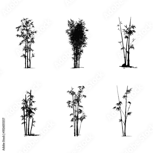 Bamboo Trees and Stems Silhouette Collection