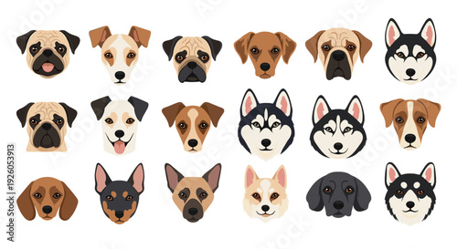 A diverse collection of various dog breed faces including pugs huskies and terriers illustrated in a simple and clean vector style.