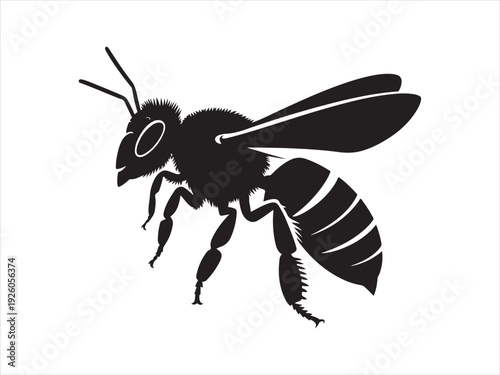 A honey bee icon, Black honey bee silhouette, detailed wings and striped body, insect, nature, bee, flying, honey bee