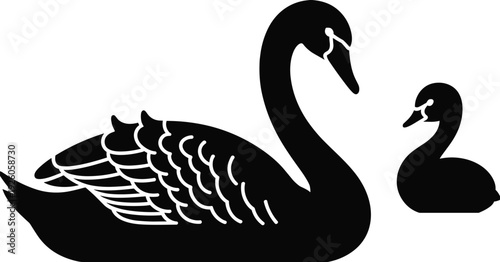 Silhouette of a large black swan with a smaller swan on a white background bird waterfowl