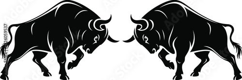Two black bulls facing each other in a confrontational stance on a white background Keywords: bulls, bull, animal, wildlife