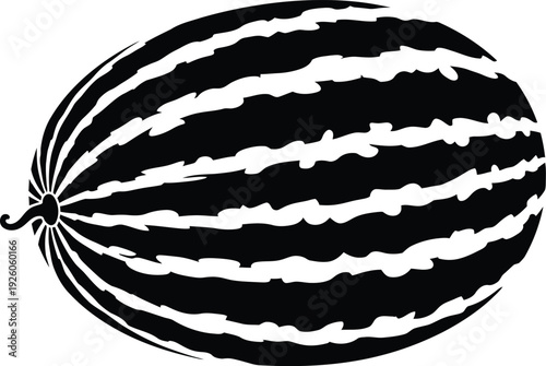 A simple illustration of a watermelon fruit