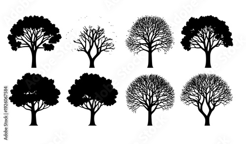 Deciduous Trees Silhouette Set with Seasonal Variations Isolated on White
