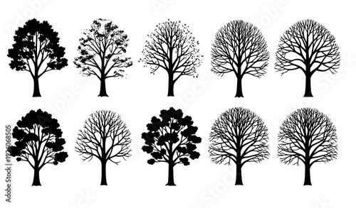 Deciduous Trees Silhouette Set with Seasonal Variations Isolated on White