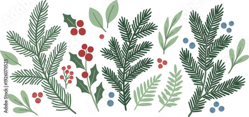 Winter Evergreen Botanical Vector Set, Pine Branches, Holly Leaves and Red Berries Decorative Christmas Foliage Illustration Collection