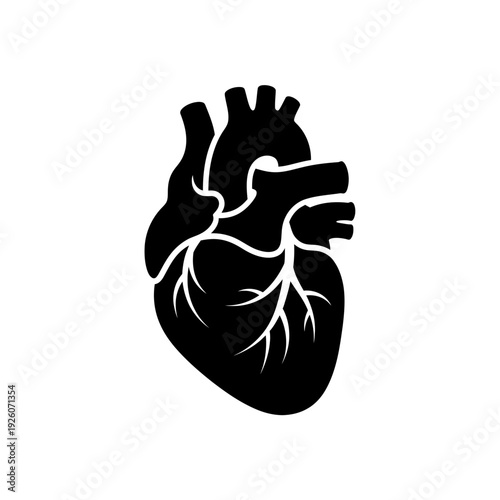 A black and white illustration of a human heart