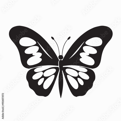 Elegant Exotic Butterfly Black and White Detailed Wing Illustration