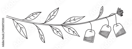 Outline drawing of a tea branch with leaves and a flower, showing three tea bags hanging, ideal for natural beverage packaging, healthy branding, and cafe menu graphics.