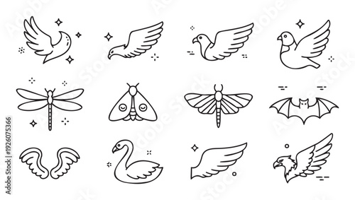 Vector set featuring diverse flying animal and wing outline icons for graphic projects, mobile applications, and educational materials