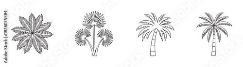 Various palm trees and tropical plant outline drawings perfect for summer vacation themed graphic projects, travel branding, or botanical inspired logos