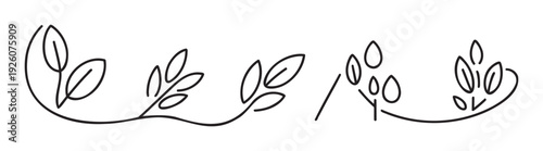 Minimalist black line drawing of various botanical leaves and branches arranged horizontally, perfect for use as a decorative divider or page accent in various graphic applications.