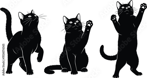 Black cat silhouettes, kitten playing, jumping, standing, reaching with paw, feline character poses, pets, domestic animal, kitten vector, isolated graphics, halloween elements, playful cat.