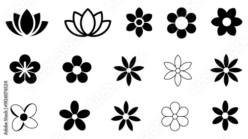 Collection of 16 Minimalist Black and White Flower flowers petals