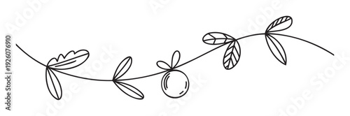 Minimalist line drawing of a flowing botanical branch adorned with abstract leaves and a single round fruit for elegant natural themed invitations cards and seasonal decorations