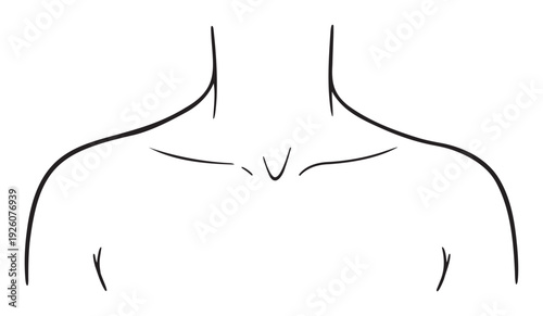 Minimalist line drawing portraying the upper human torso with visible collarbones and neck, suitable for health, wellness, medical, or anatomical study and abstract design applications.