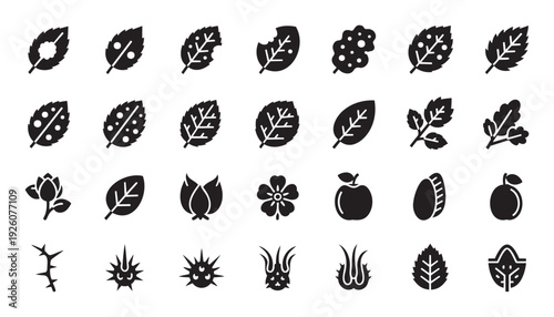 Diverse botanical glyph icons featuring various leaves, flowers, fruits, and thorny plant parts, perfect for nature themed graphics, educational materials, and environmental awareness