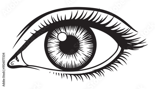 Detailed black and white human eye graphic suitable for various medical, optical, or symbolic projects requiring a clear visual representation of sight and perception