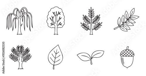 Collection of simple outline drawings depicting different types of trees, various leaves, and an acorn, ideal for natural themed graphic projects, educational resources, or eco friendly