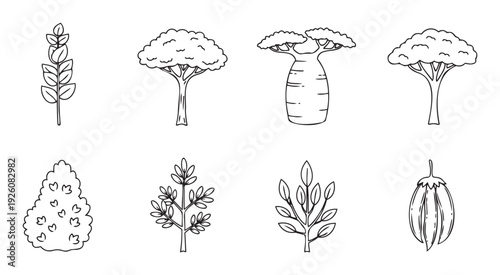 Collection of various stylized plant and tree line drawings suitable for botanical studies, ecology education, natural history presentations, or simple graphic design resources