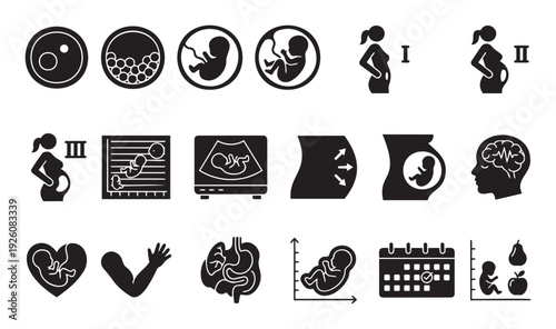 Comprehensive collection of pregnancy and human fetal development icons illustrating early stages, trimesters, medical examination, and growth milestones for educational and healthcare