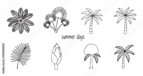 Outline drawings of tropical palm trees and leaves with a plant bud provide a versatile collection for summer vacation marketing materials, beach party invitations, resort promotions, or