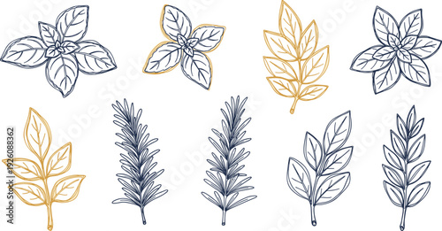 Collection of assorted hand-drawn leaves and plants in various styles and colors displayed on a clean background from a direct viewpoint