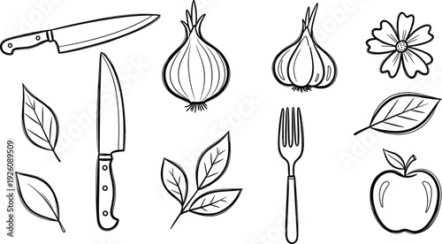 Line art illustration of kitchen utensils and fresh produce on a clean white background from a straightforward viewpoint