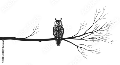 Majestic owl perched on a bare tree branch against a stark white background symbolizing wisdom and solitude
