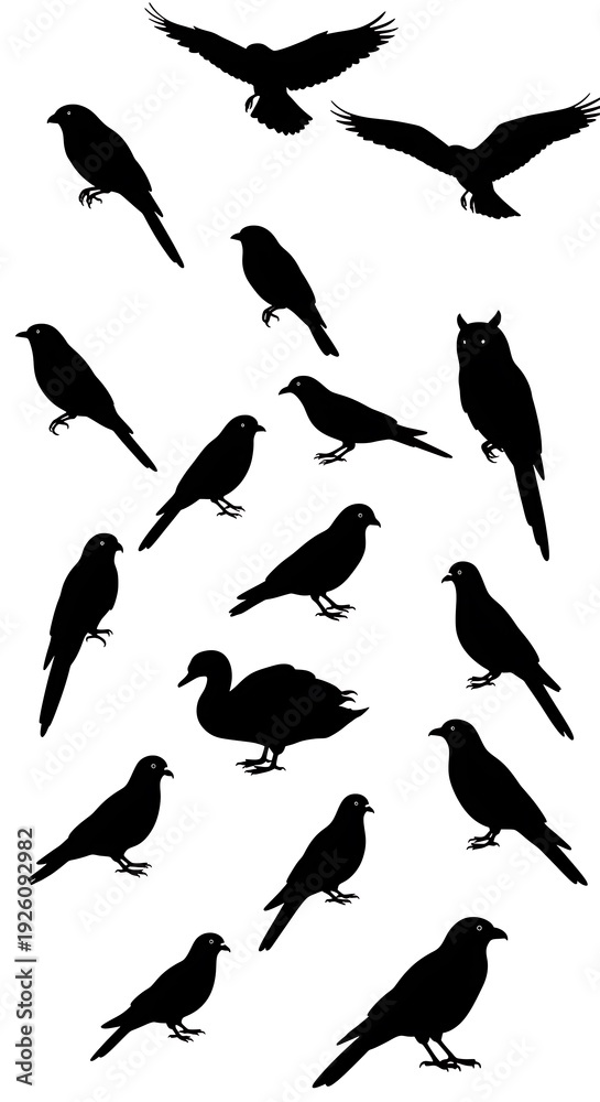 Obraz premium Midnight Aviary