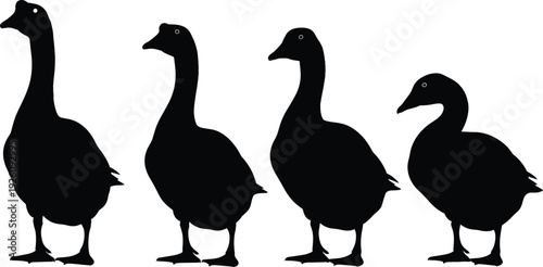 Black goose silhouettes, standing farm birds, domestic poultry collection, waterfowl vector illustration, isolated gander icons, animal shape design, nature graphic.