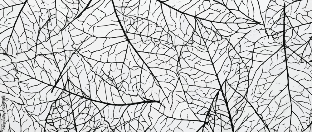 Fototapeta premium Crayon scribble diagonal organic lines seamless texture pattern. Zebra animal motif background. Cross hatch black and white sketch seamless texture. Hand drawn line hatching scribble strokes.