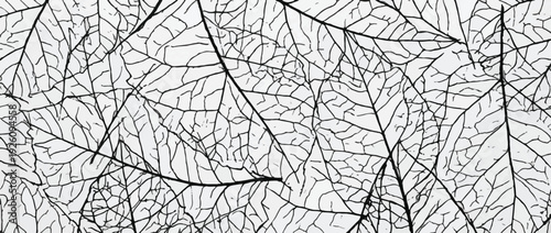 Crayon scribble diagonal organic lines seamless texture pattern. Zebra animal motif background. Cross hatch black and white sketch seamless texture. Hand drawn line hatching scribble strokes.