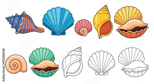 Colorful Seashell Collection: Scallops, Conches, and Pearls