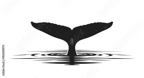 Majestic whale tail silhouette emerges from rippling water surface symbolizing ocean life freedom and the vastness