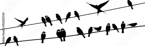Black Birds Silhouette on Wire Composition Silhouette Vector