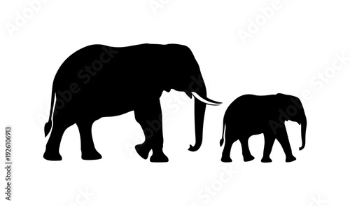 Majestic elephant duo walking together in harmony